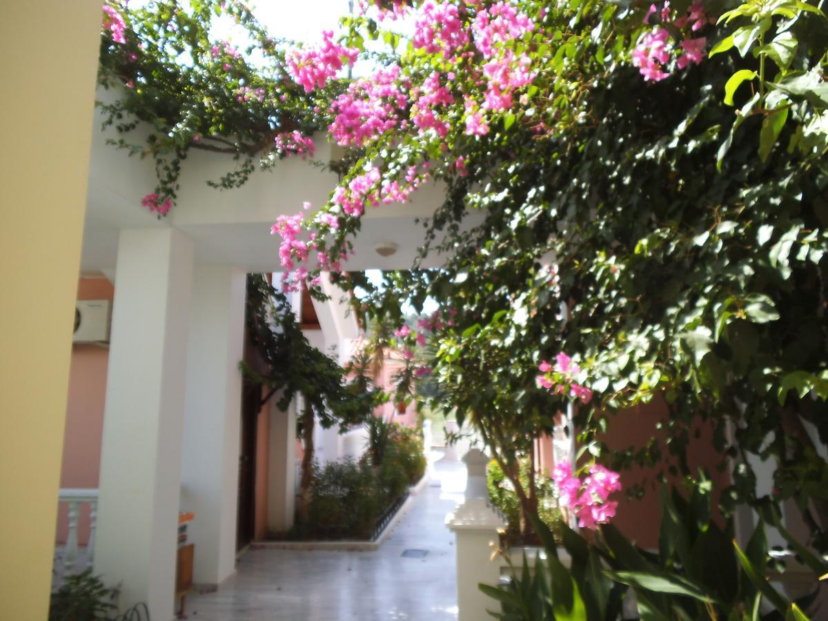 Alkyon Hotel Kokkari Exterior photo